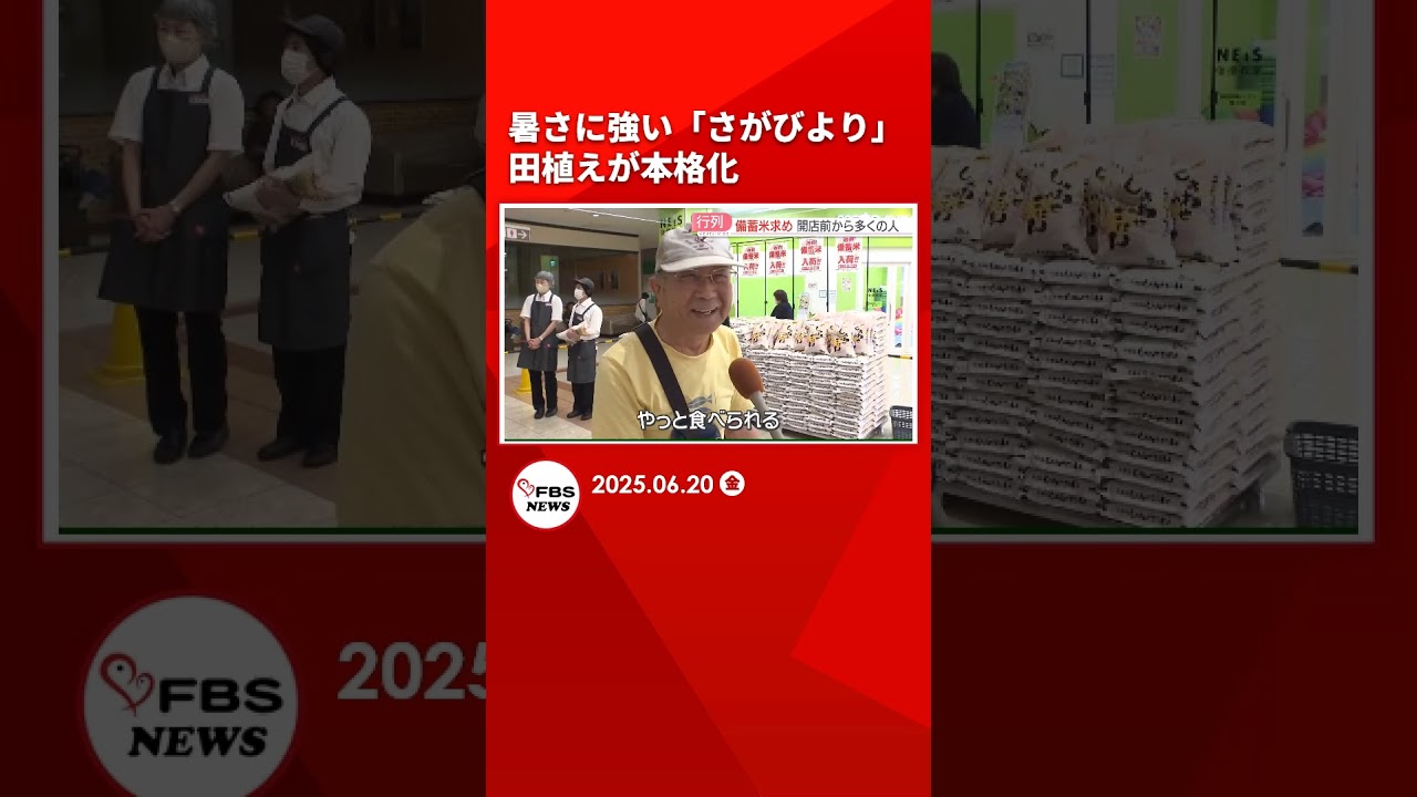 暑さに強い「さがびより」田植えが本格化　一方で備蓄米には長い列　熱中症対策で開店前に店内へ #shorts
