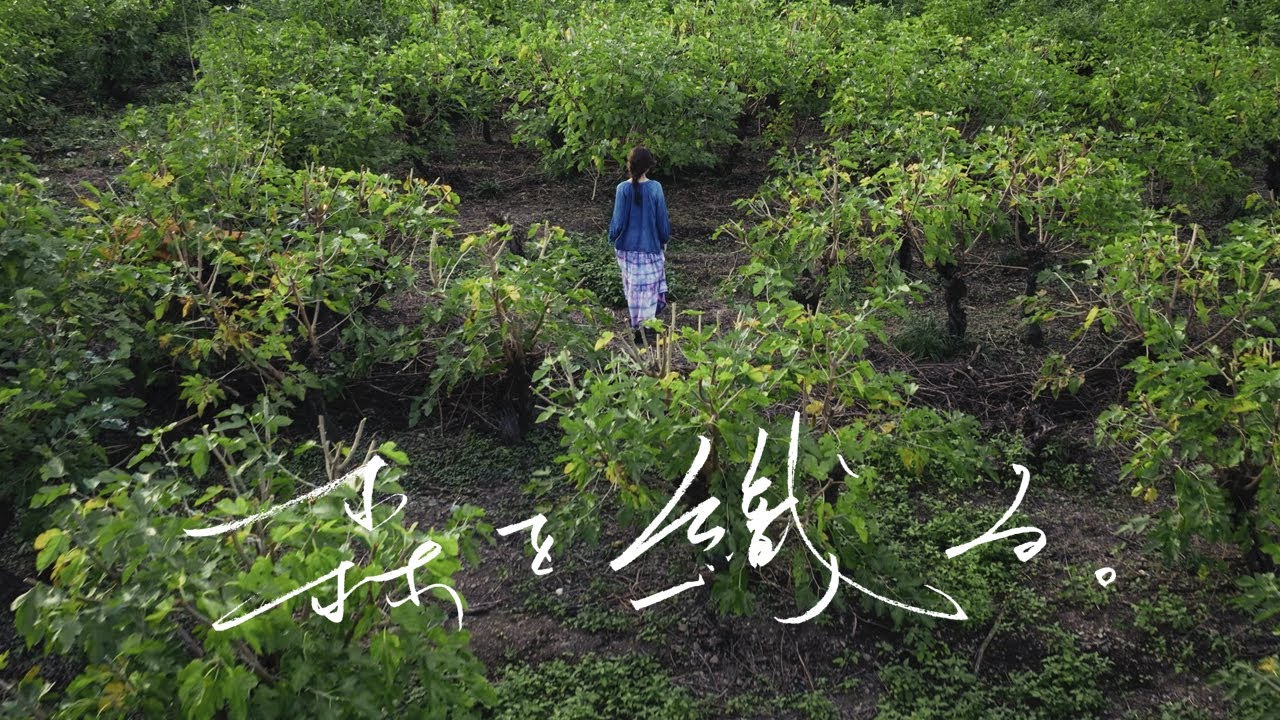 ドキュメンタリー映画『森を織る。』予告