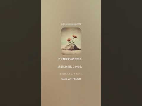 あんこ、美沙希、トン子3人の写真 #小泉