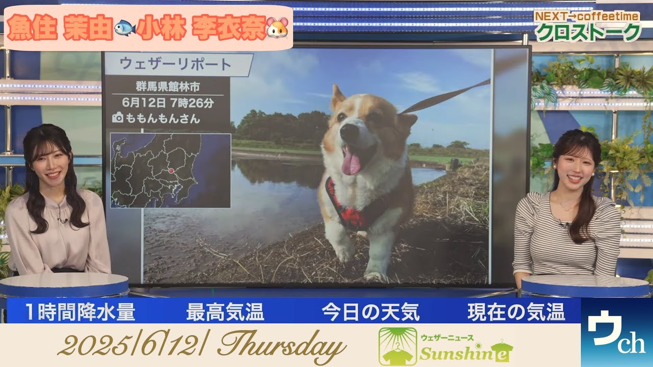 【魚住茉由×小林李衣奈】クロストーク【ウェザーニュース】