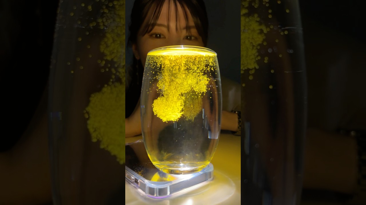 #mainagarkahoon #lifehacks #ランタン #通勤タイパ #turmeric #駒木結衣