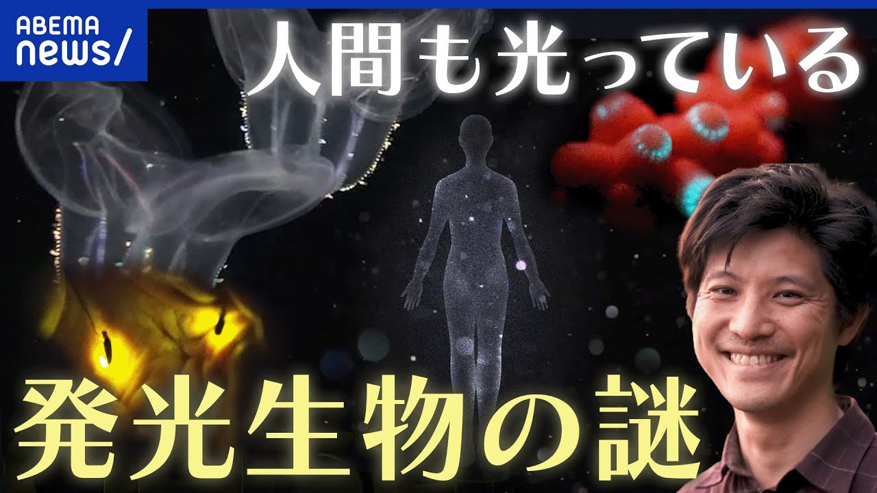 【光る生き物】ホタルだけじゃない！光らせる理由は謎ばかり？ものスゴ研究者｜アベプラ