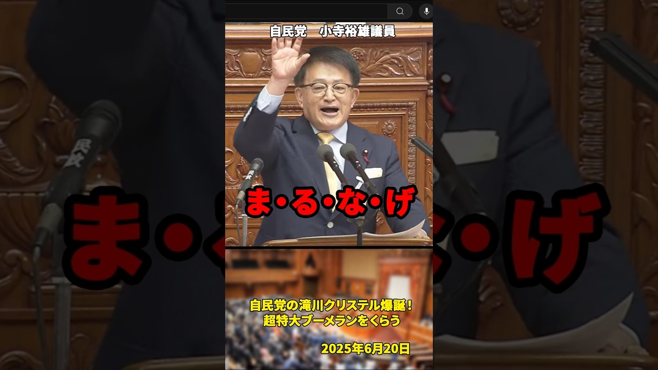 「ま・る・な・げ」自民党の滝川クリステル爆誕！超特大ブーメランをくらう小寺裕雄議員【2025年6月20日】#shorts #自民党#政治#国会#石破茂#おもてなし#滝川クリステル#小泉進次郎#小寺裕雄