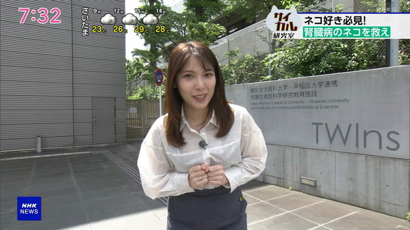 【画像】今日の豊島実季さん　6.15