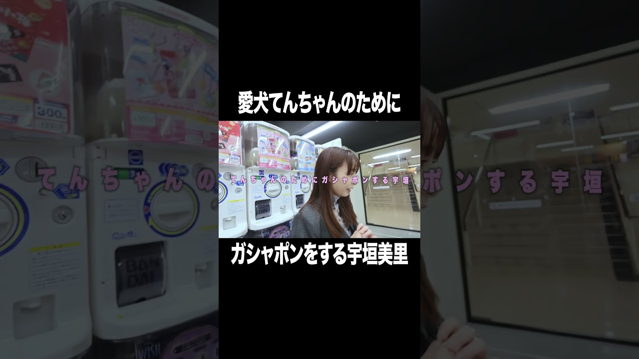 愛犬てんちゃんのためにガシャポンを回す宇垣美里【宇垣美里YouTube】 #宇垣美里 #ガシャポン #アナウンサー