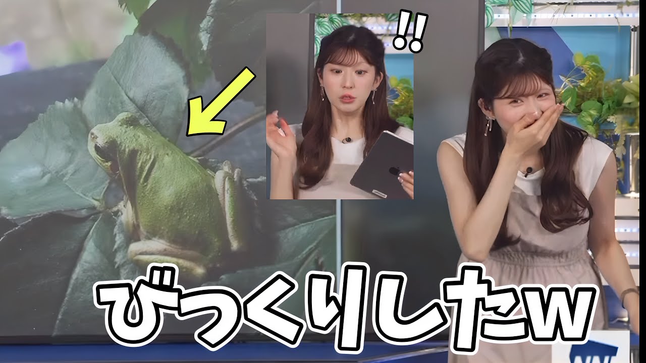 急に現れたカエルにめっちゃ驚いてしまうお天気お姉さん【小林李衣奈】