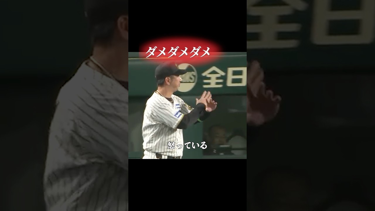 藤川監督のナイス抗議が光ったこのシーン #プロ野球 #野球