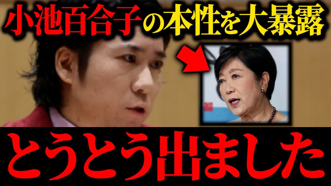 小池百合子についてとんでもないことがわかってヤバいです...【クルド人 浜田聡 河合ゆうすけ】