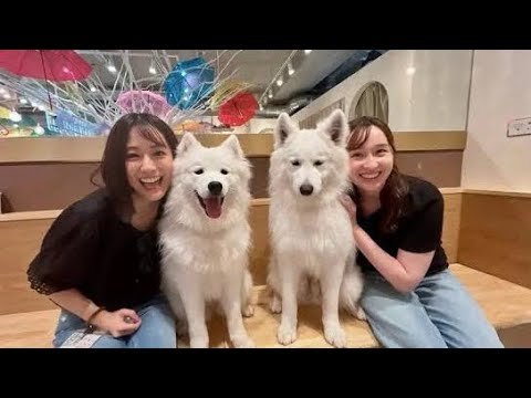 🎀田村真子アナの“癒しオフショット”公開🌿ドナルドより誰に手を振ってたの⁉️千尋＆メグとの休日が可愛すぎる💐✨