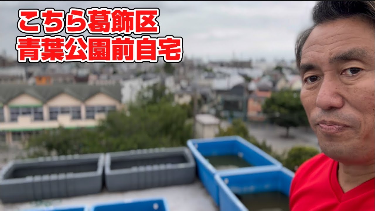 左右対決か新旧対決か