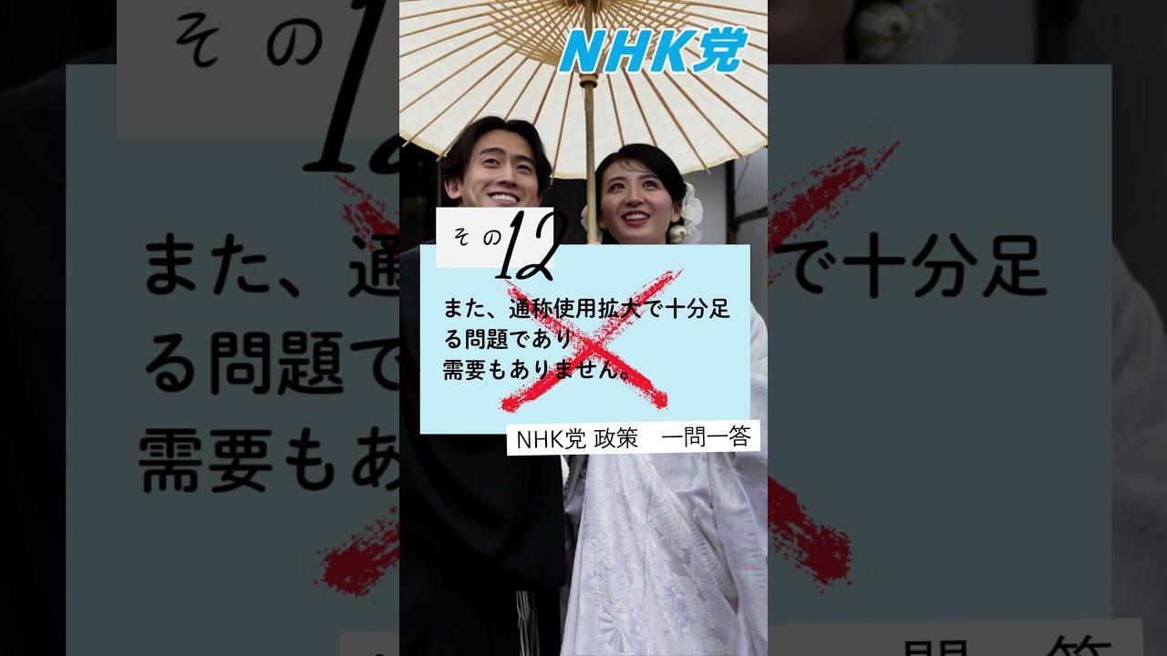 NHK党の政策 一問一答 その12 選択的夫婦別姓制度の導入に賛成ですか？