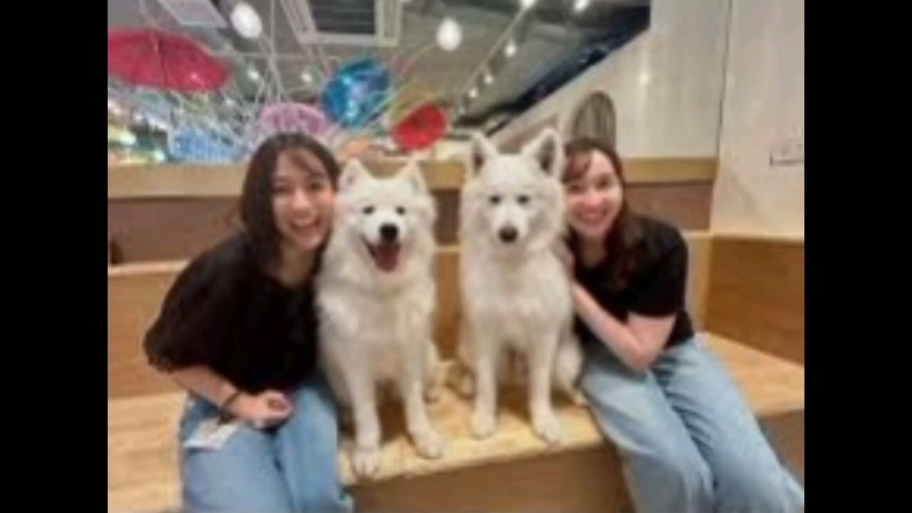 tbs田村真子アナ 同期人気アナや仲良しタレントとの「あれこれ」オフショ大公開 「可愛さ半端ない」