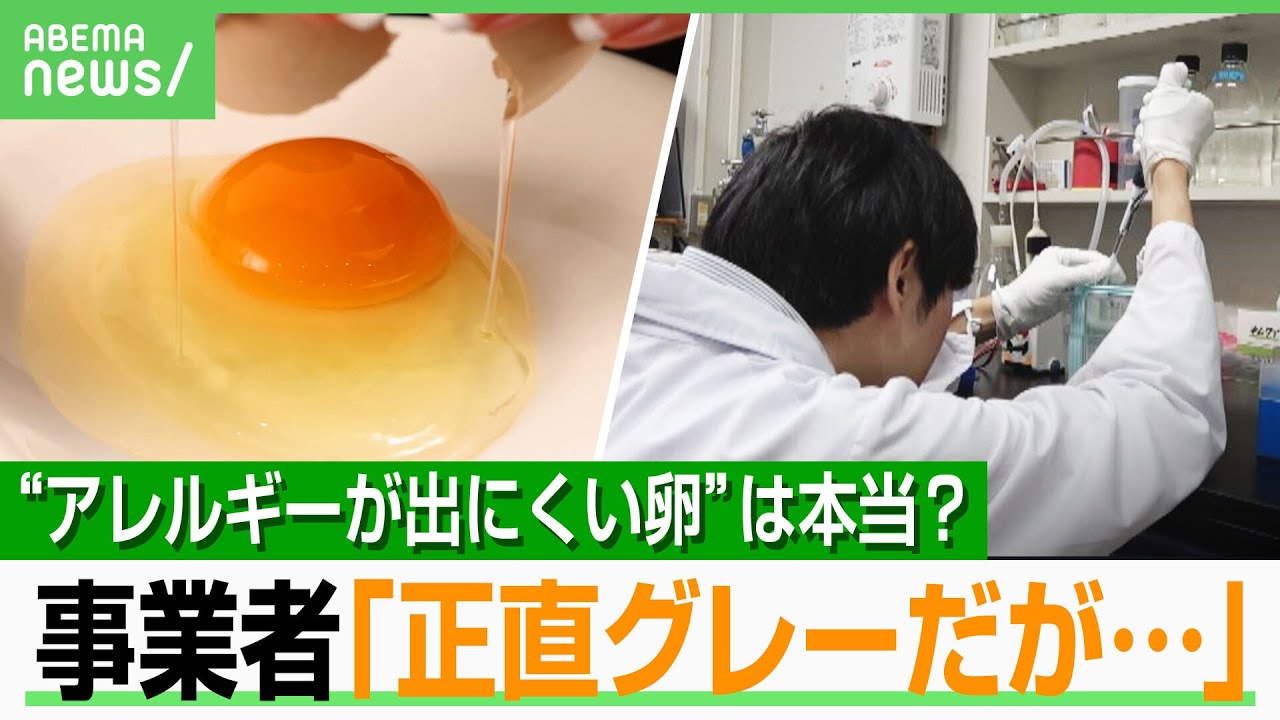 【注意】“アレルギー出にくい卵”解析結果は「根拠なし」“平飼いなら大丈夫”のデマも…販売業者に法的責任は？｜アベヒル