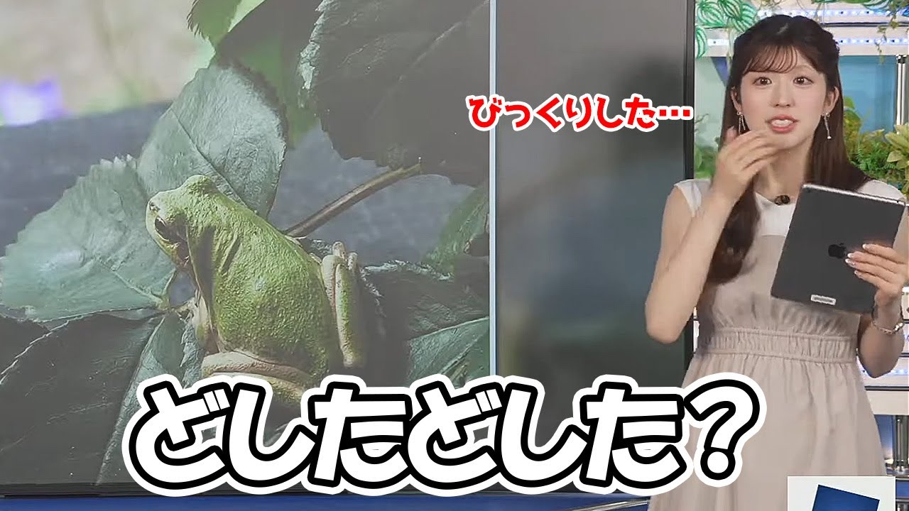 【小林李衣奈】リポートで届いたカエルのドアップ画像にびっくりしちゃうお天気お姉さん