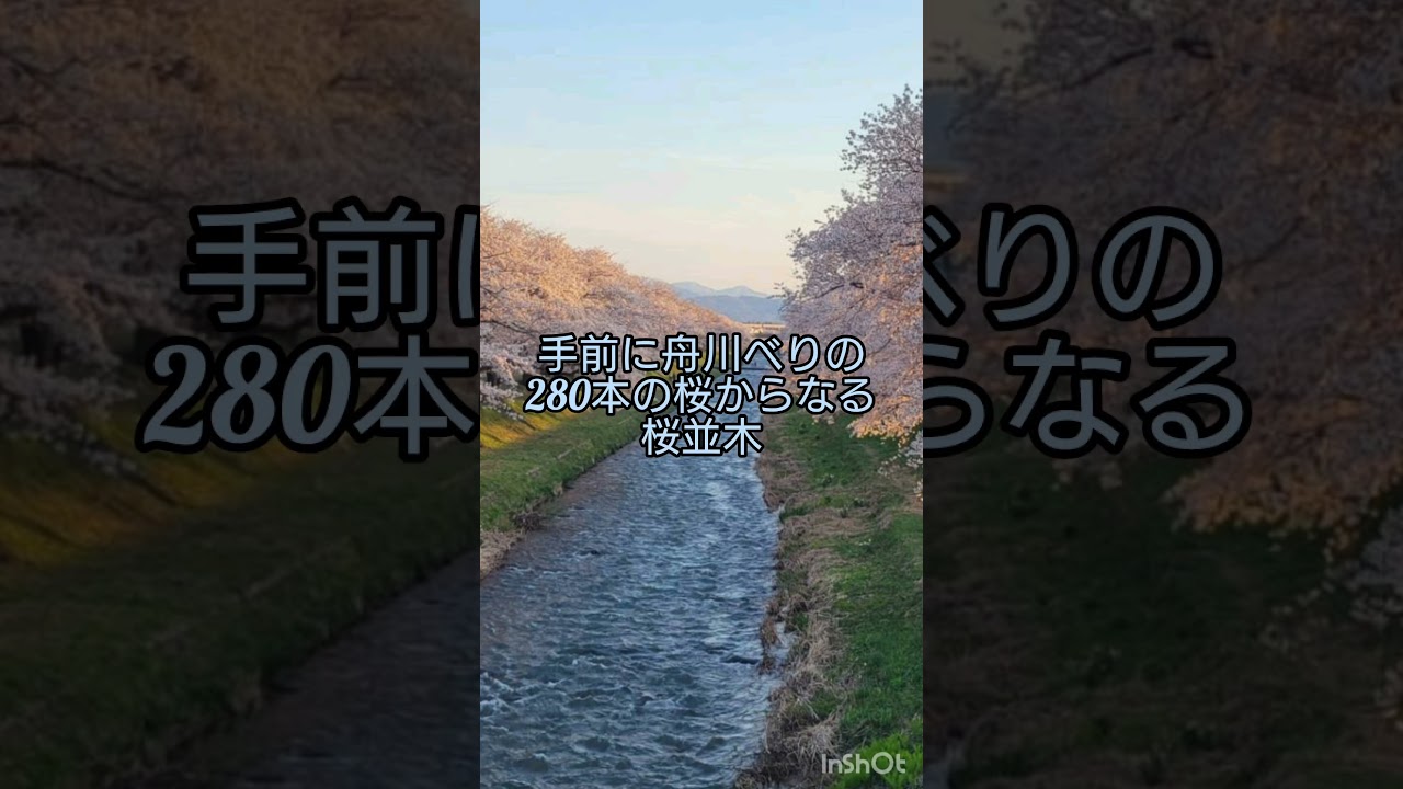 【舟川べり】春の四重奏、映画「少年時代」ロケ地😎