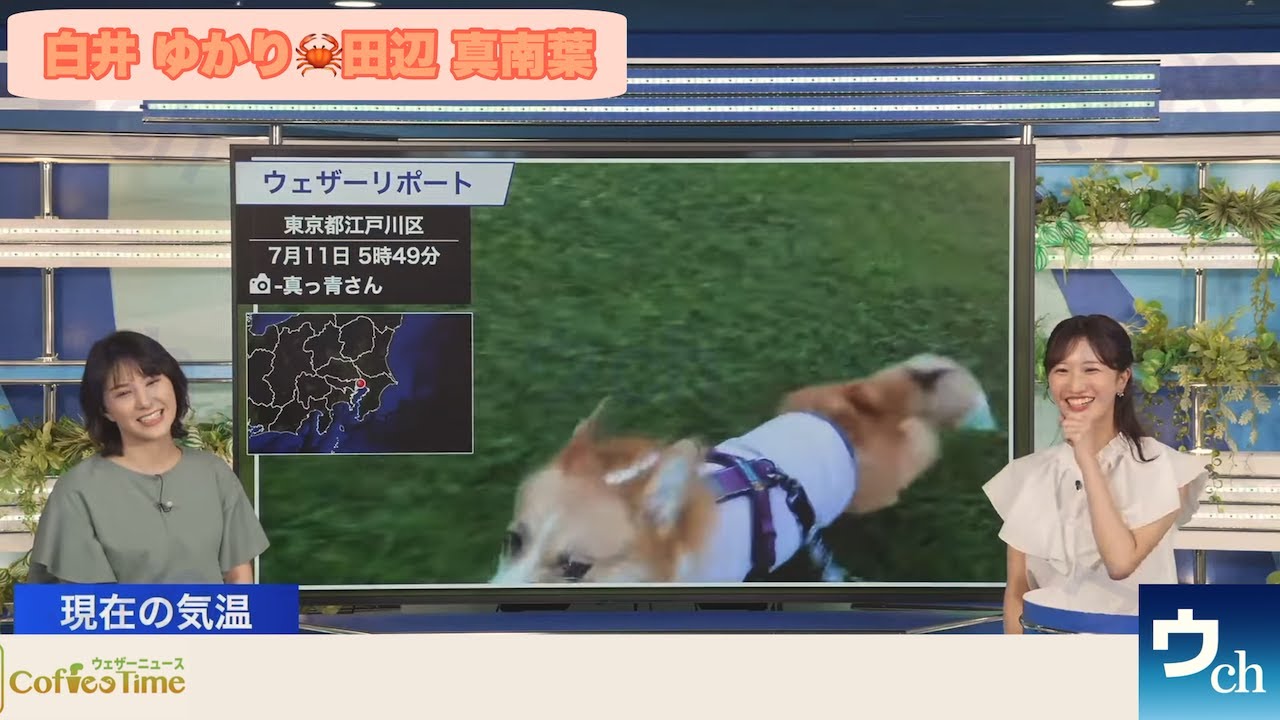 【白井ゆかり×田辺真南葉】クロストーク【ウェザーニュース】