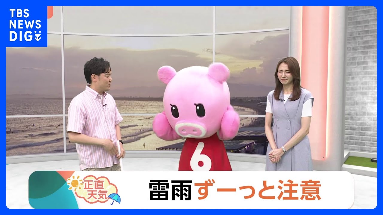 【7月22日 関東の天気】雷雨ずーっと注意｜TBS NEWS DIG