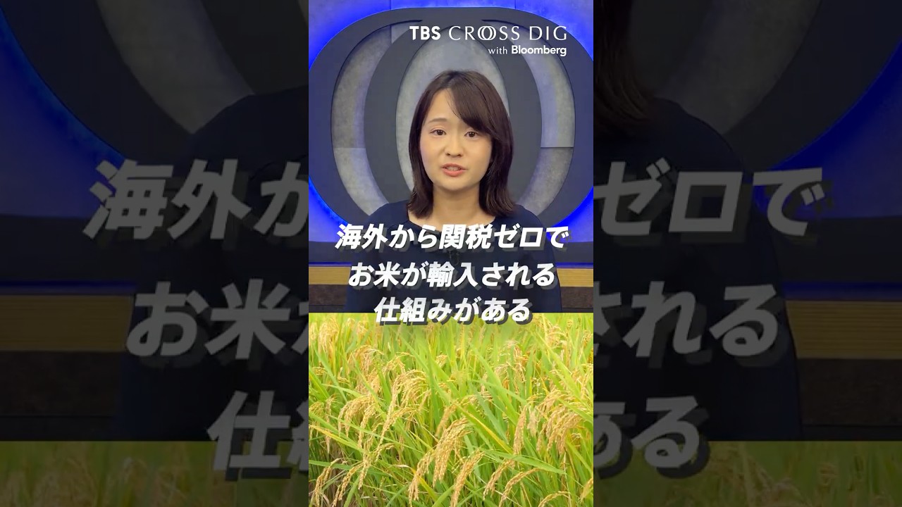 コメ輸入の枠組「ミニマムアクセス」とは？| TBS CROSS DIG with Bloomberg