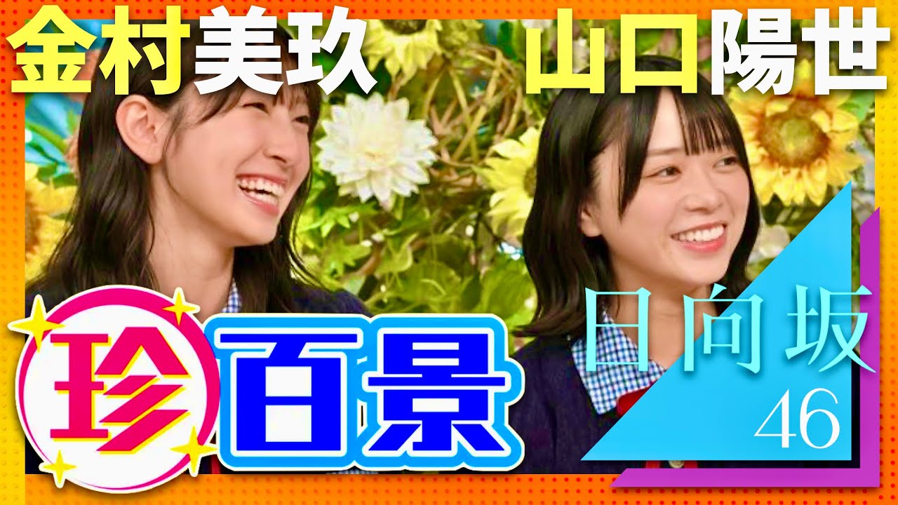 ナニコレ珍百景【7月27日放送/金村美玖/山口陽世】