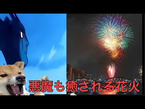 【柴犬飼い主55歳】隅田川の夜空でデビルマンと柴犬が競演！