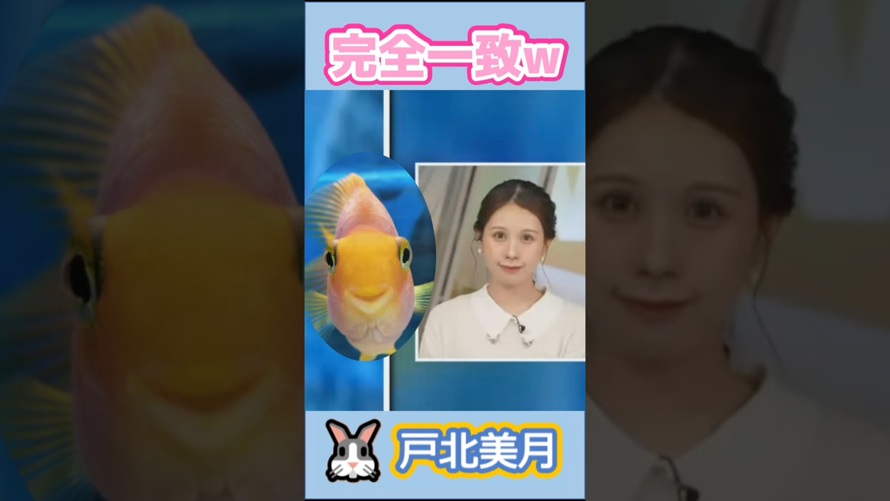 【#戸北美月】(🍥´ω｀🍥)っ「みーちゃんお得意の顔芸w」 #ウェザーニュースlive