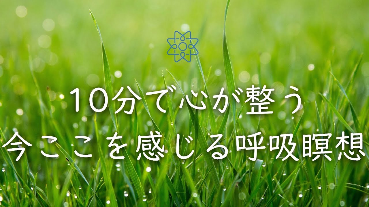 【たった10分】心が整う“今ここ”の呼吸瞑想｜マインドフルネス入門