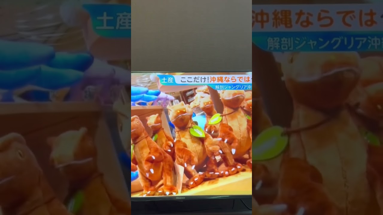 ジャングリア沖縄　グッズを紹介する若林有子アナ　#若林有子