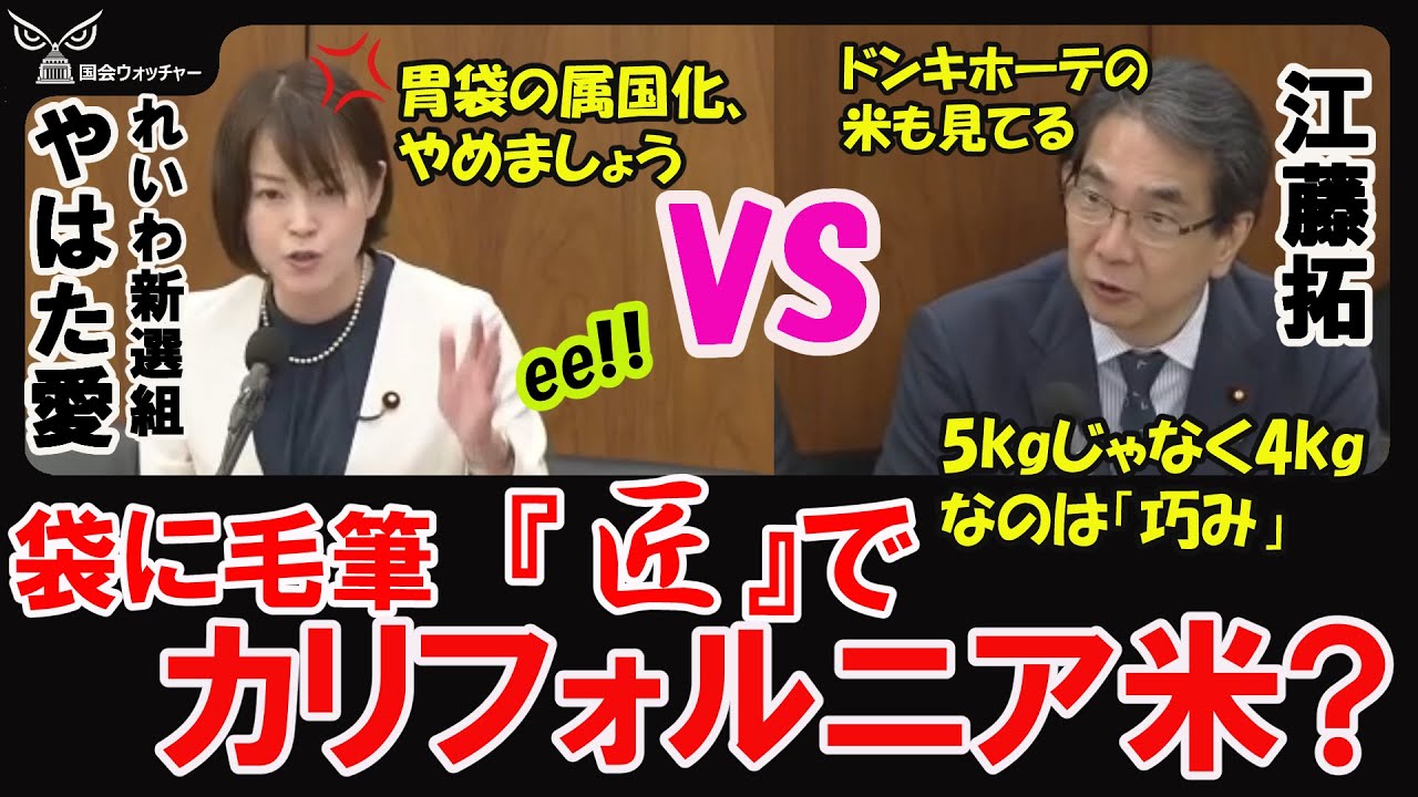 【江藤農林水産大臣VSやはた愛】維新・やはた愛がイオンで見た毛筆で書かれた「匠」という米が8割カリフォルニア米であることにそっち「巧み」か～いとずっこける。  【衆】農林水産委員会 (4月8日)