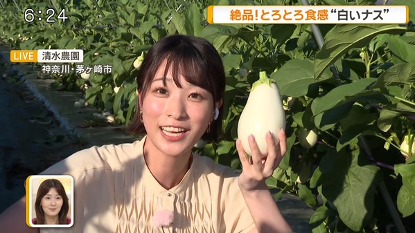 【画像】今日の今井春花さん　7.27