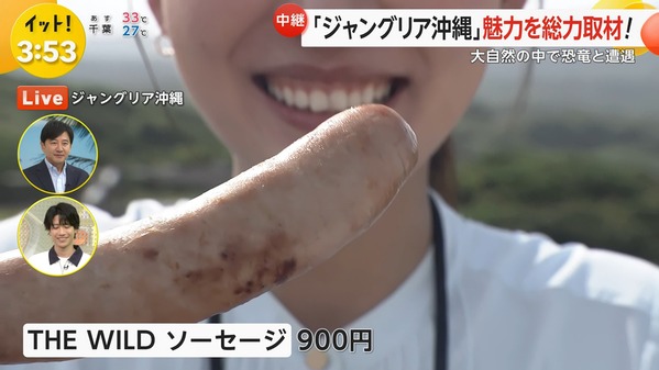 【画像】今日の宮本真綾さん　7.25