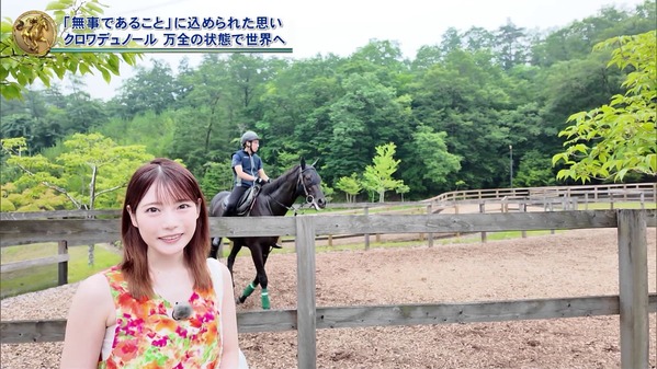 1 (34)