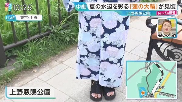 【画像】今日の御手洗菜々さん 7.4