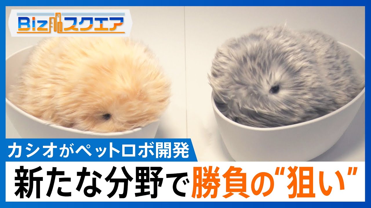 カシオ計算機がペットロボットを開発する狙い　機能価値から感性価値で新たなビジネスモデルに【Bizスクエア】