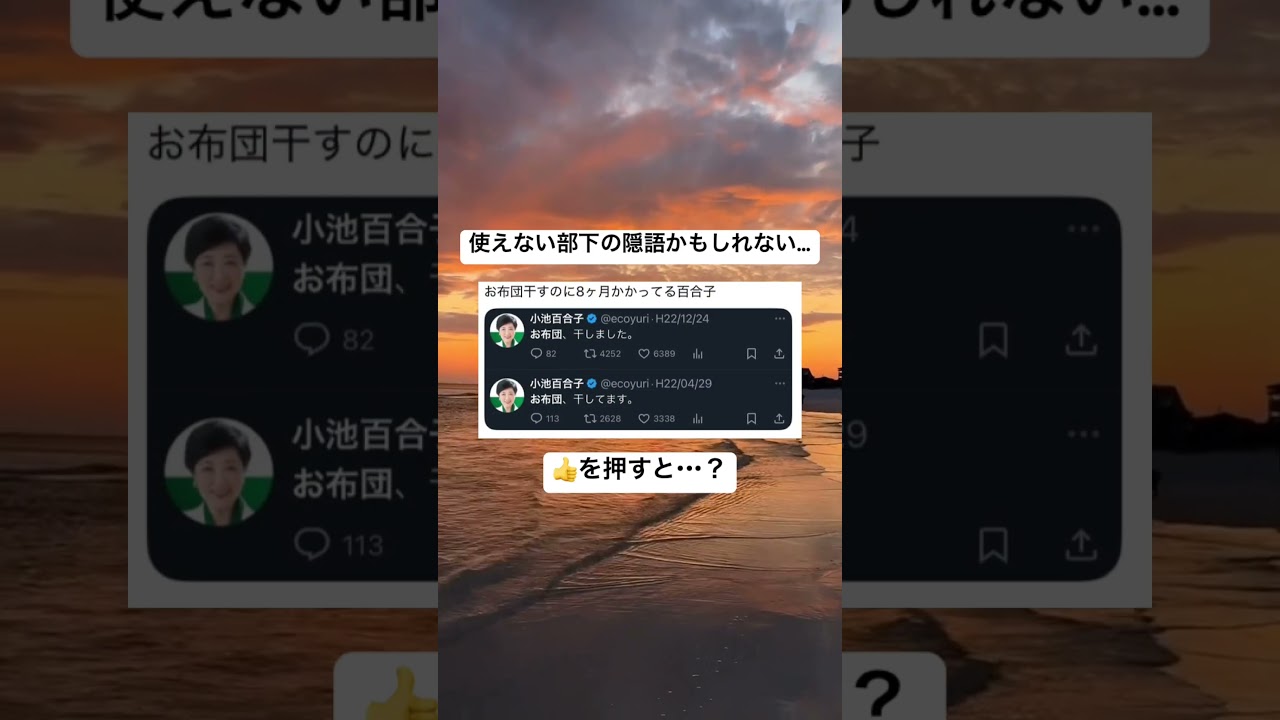 布団を干す小池百合子まだ面白い #shorts#tiktok#twitter#おもしろ#お笑い#おすすめ#小池都知事#小池百合子#都知事#政治#政治家#面白い#おもしろ動画#爆笑#バズれ#2ch