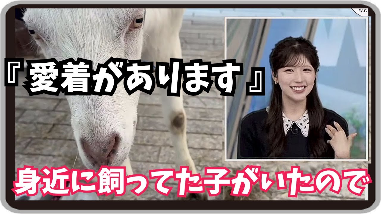 【小林李衣奈】『身近に飼ってた子がいたので』「テレ東 ヤギと大悟がすごく好きなりーちゃんの 愛着があるヤギトーク 」【ウェザーニュース】20250802