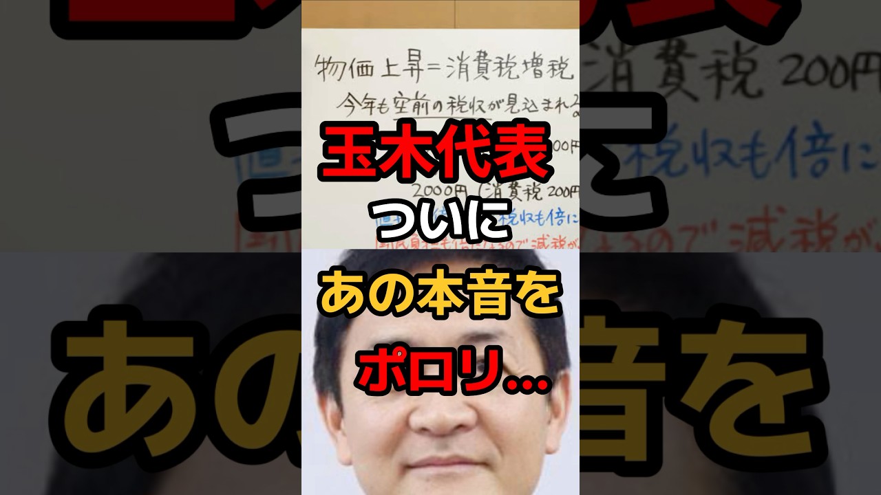 【速報】玉木代表ガソリン減税やらない方針へwww