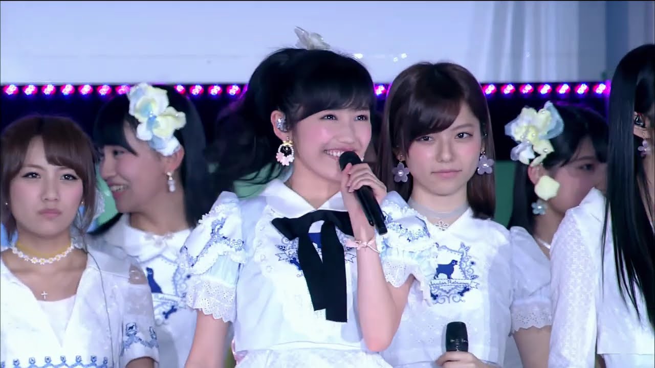 AKB48 ラブラドール・レトリバー Labrador Retriever RH2014