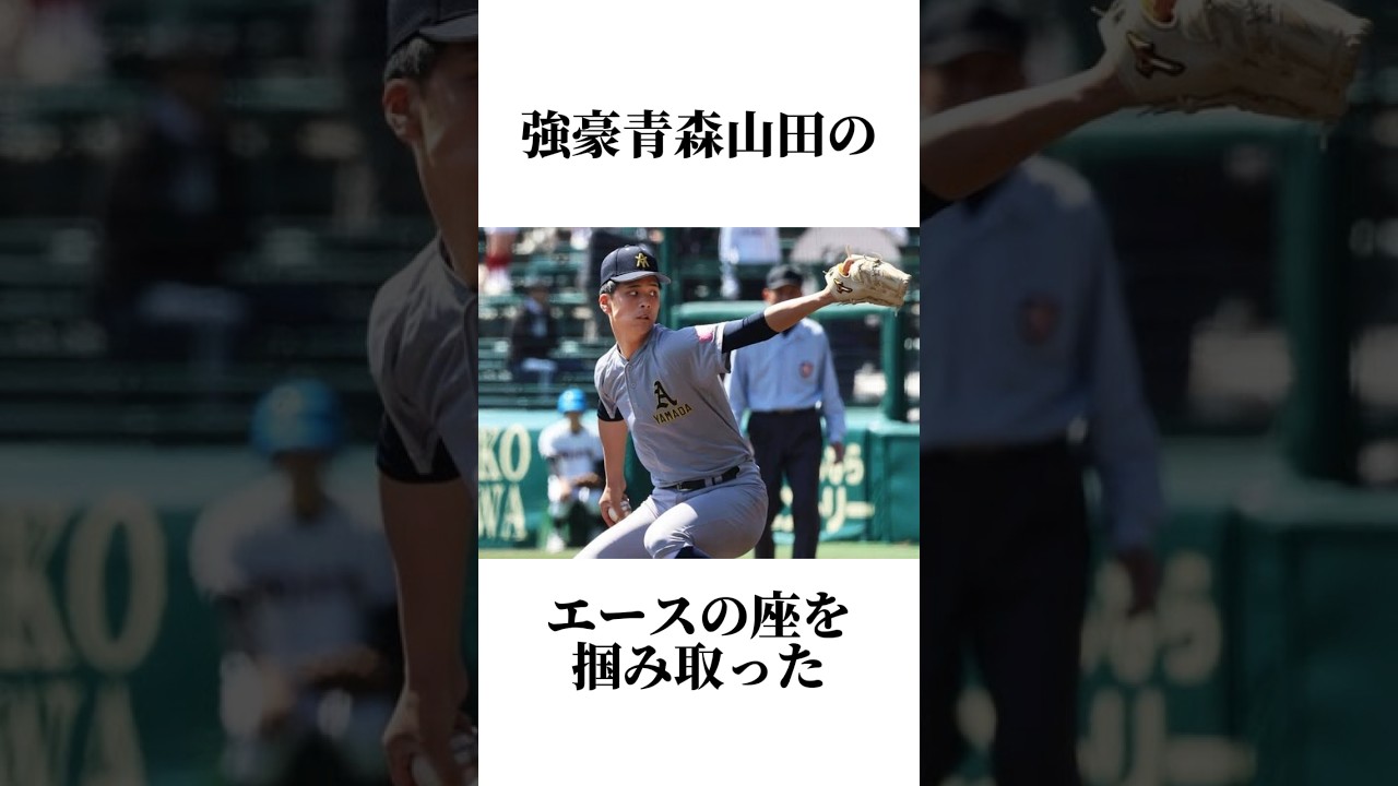 ㊗️3万再生 奇跡を起こした青森山田高校に関する雑学#甲子園 #高校野球 #野球 #青森山田