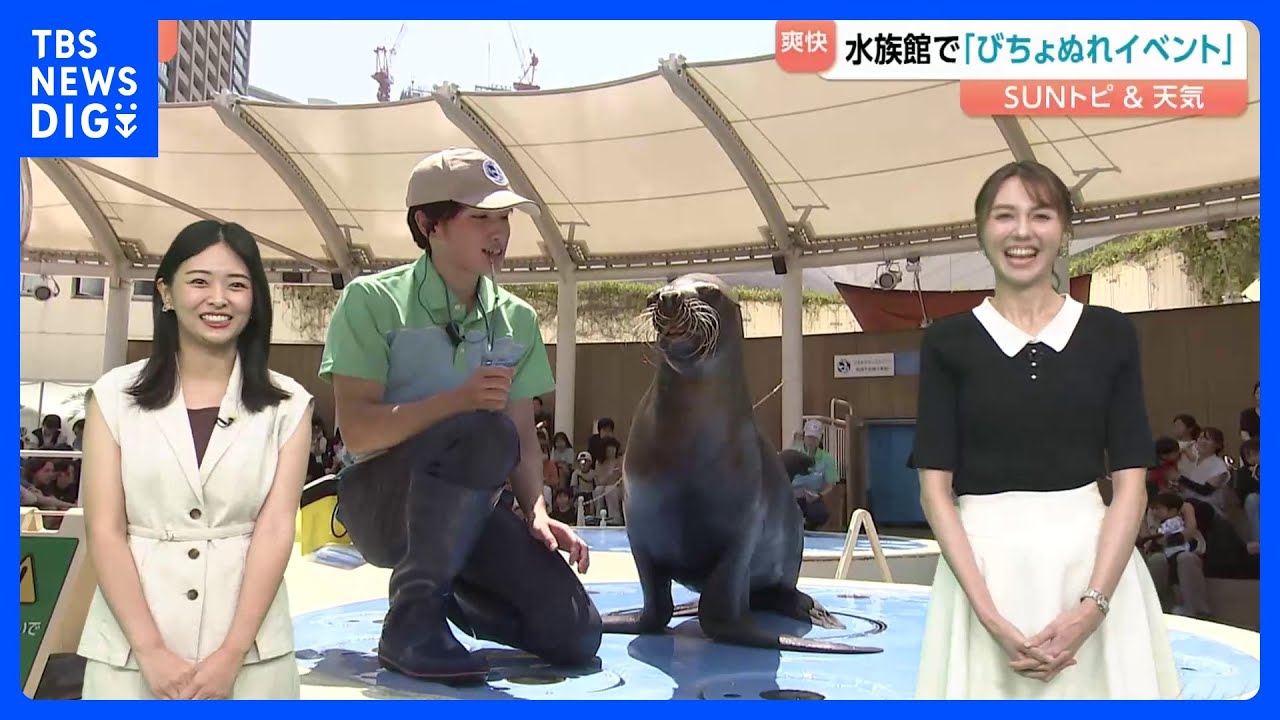 水族館の生き物たちも熱中症対策　アシカは氷を食べて水分補給　ペリカンは水槽の水を増やして足元から冷やす【SUNトピ】｜TBS NEWS DIG