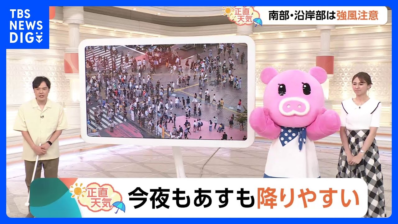 【8月12日 関東の天気】今夜もあすも降りやすい｜TBS NEWS DIG