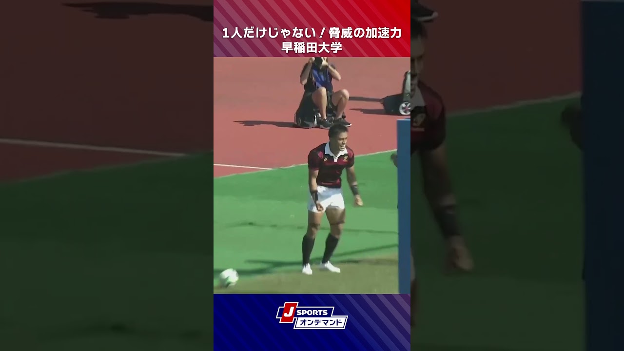 【えぐい加速力】相手に脅威を与え続ける早稲田大学のスピード #大学ラグビー #ラグビー #c_rugby #shorts
