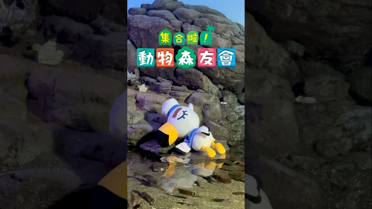 🌴現實版動物森友會🦉【橫濱八景島】沈浸式一日體驗 貓頭鷹博士講解海洋生物和標本 一日兩次釣魚大賽 動森主題海豚表演🐬