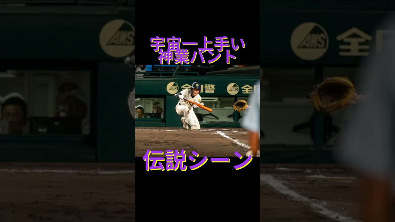 宇宙一うまいバントが生まれた秘話#甲子園 #大社高校#shorts