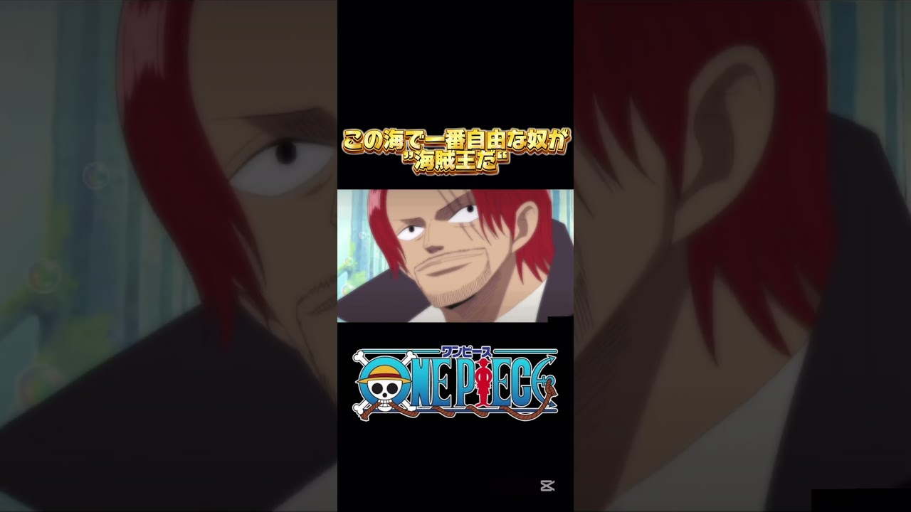 レイリーさんにもロジャー船長と同じ気質が見れたのいいですね#ワンピース #onepiece #ワンピース面白いシーン #ワンピース感動シーン  #ワンピース名言集