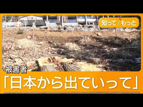 富士山遮る樹木伐採した中国人経営者にあさって判決　同胞から「恥かかせるな」【もっと知りたい！】【グッド！モーニング】(2025年8月16日)