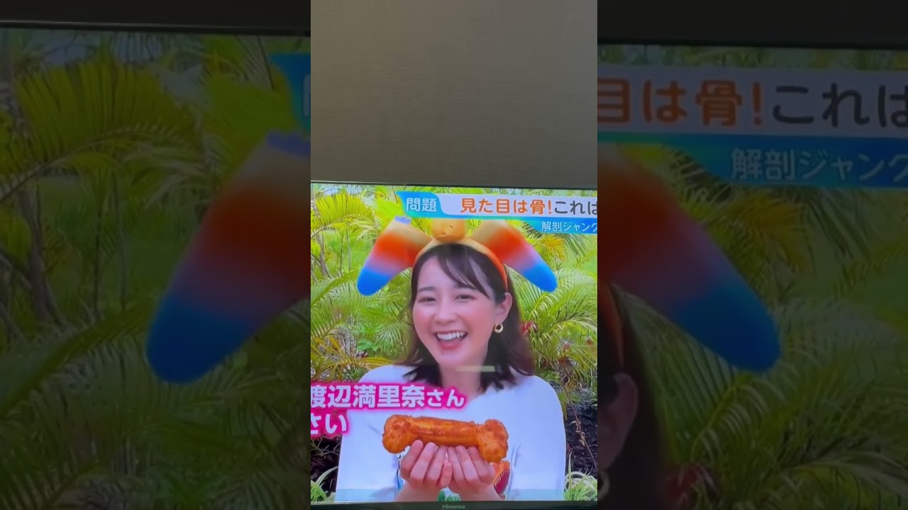 ジャングリア沖縄　ハンバーガーとシュークリームを食べる若林有子アナ　#若林有子