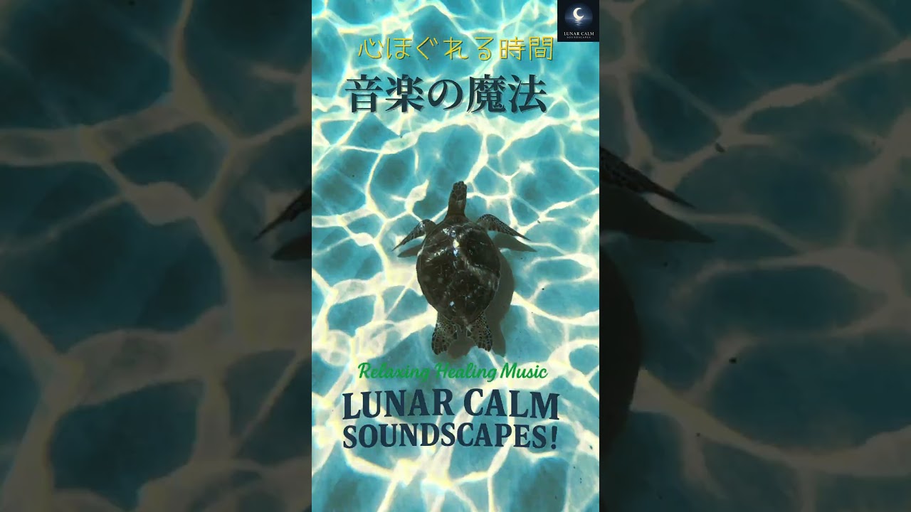 【9秒で心がほぐれる】海ガメと過ごす癒しの時間🐢✨ #ヒーリングミュージック #リラックス音楽 #ストレス解消
