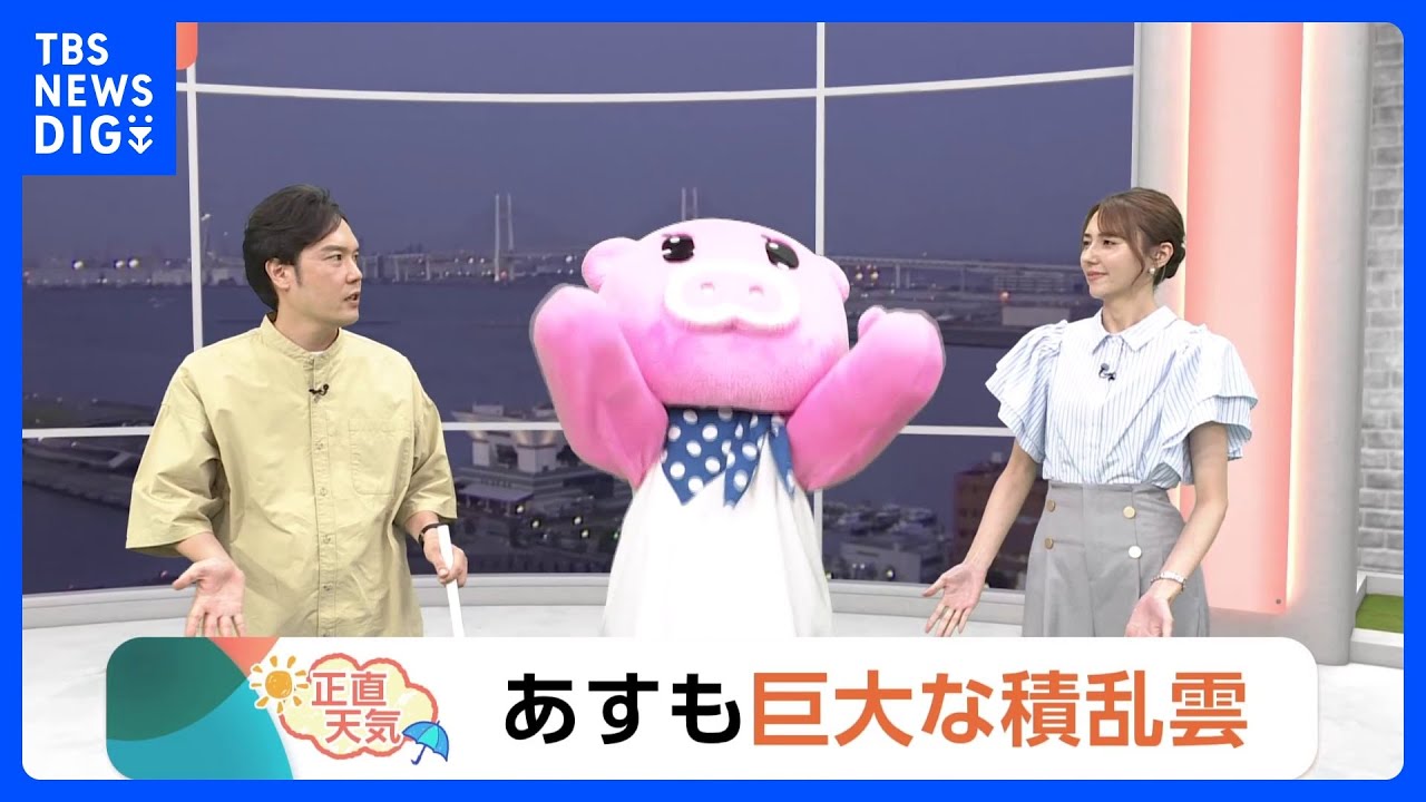 【8月21日 関東の天気】あすも巨大な積乱雲｜TBS NEWS DIG