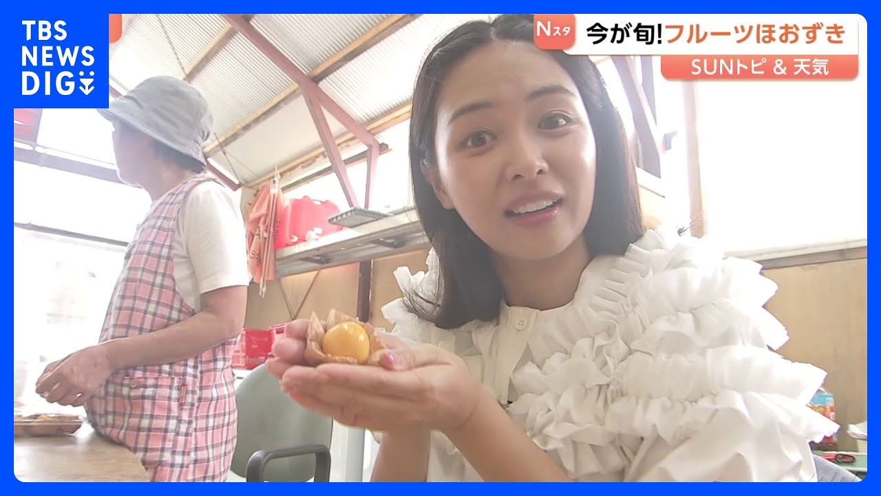 今が旬！フルーツほおずき　茨城・高萩市【SUNトピ】｜TBS NEWS DIG
