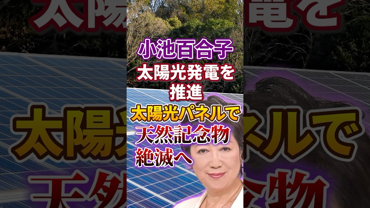 【太陽光パネル 設置します】小池百合子｜小笠原村 母島｜利権拡大【さいとう元彦｜日本人ファースト】#shorts
